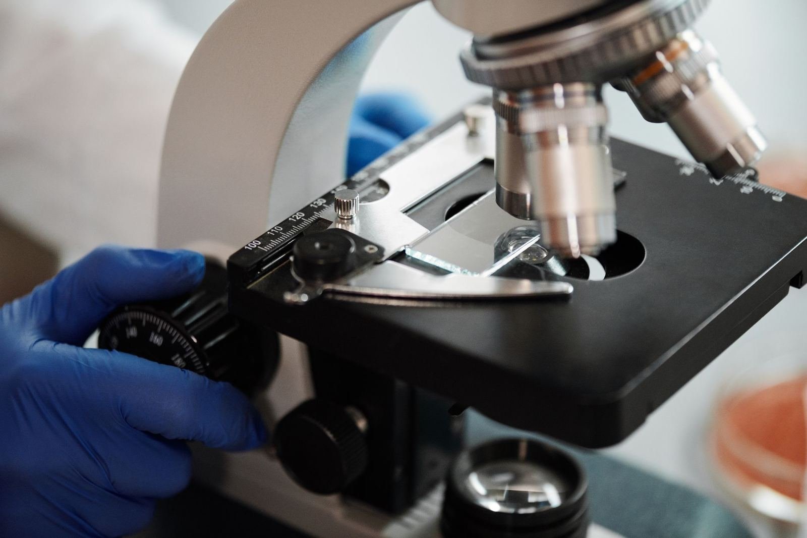 Manos con guantes de laboratorio ajustando un microscopio durante el análisis de una muestra